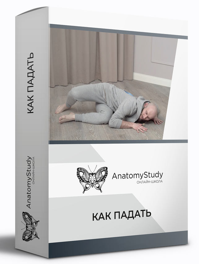 [Игорь Шпиньков] [Анатомия] Как правильно падать (_0.png